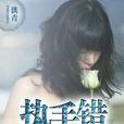 替身執手戀 替身執手戀