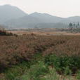 南安村(安徽黃山區太平湖鎮下轄村) 南安村(安徽黃山區太平湖鎮下轄村)