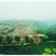 蔡節村 蔡節村