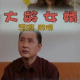 大齡女婿 大齡女婿