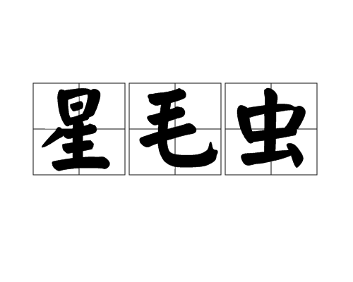 星毛蟲