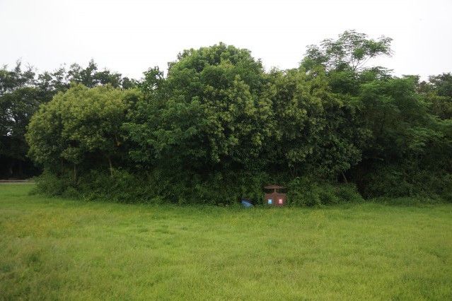 磨盤墩 磨盤墩