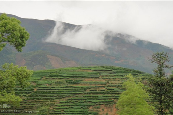 珊屏村 珊屏村