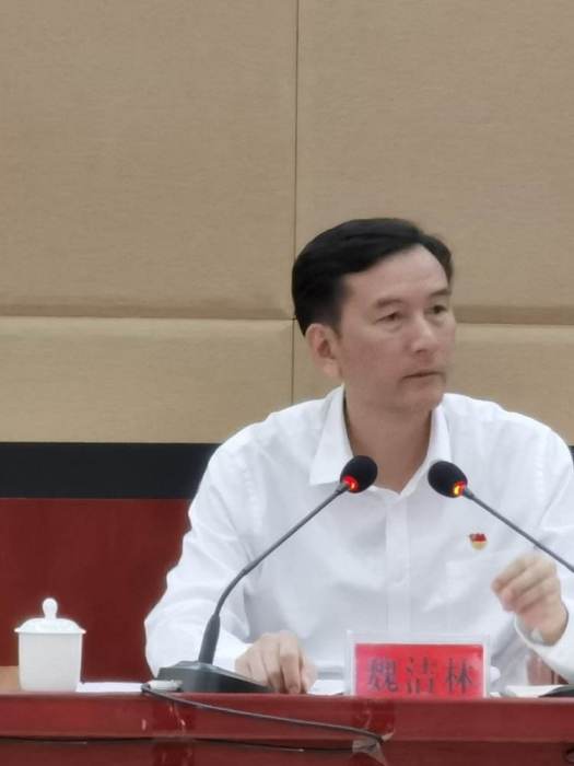魏潔林 魏潔林