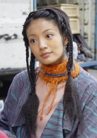 中華英雄(2004年何潤東主演電視劇)