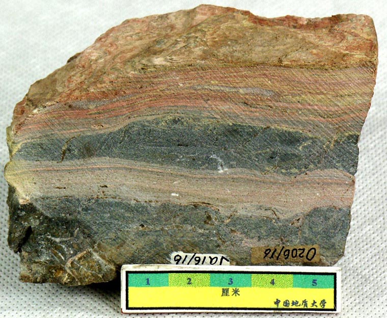 岩石(地質體)