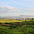 大坪村(福建省龍巖市連城縣蓮峰鎮大坪村) 大坪村(福建省龍巖市連城縣蓮峰鎮大坪村)