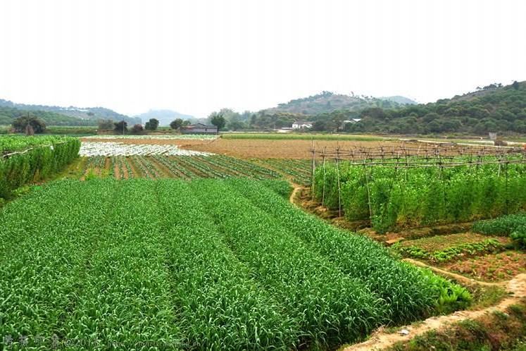 奚家花園 奚家花園