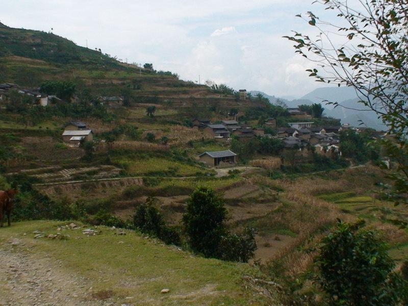 頓德村 頓德村