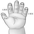 推五經 推五經