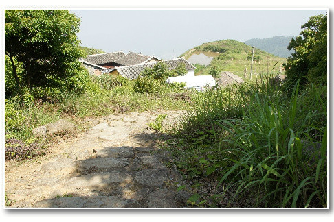 聖井山古道 聖井山古道