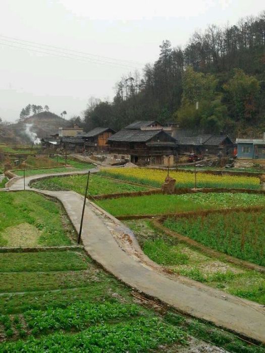 上坡營村 上坡營村