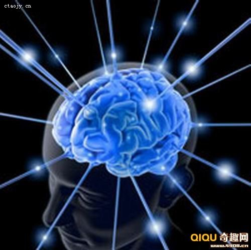 意識的研究從大腦開始