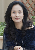 女婿難當(2012年馮興華執導電視劇)