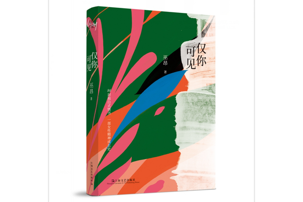 僅你可見(2023年上海文藝出版社出版的圖書) 僅你可見(2023年上海文藝出版社出版的圖書)