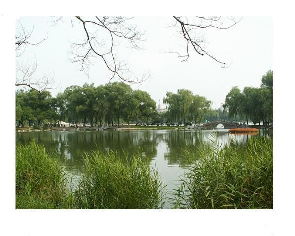 池塘戀歌 池塘戀歌