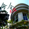 命令無效 命令無效