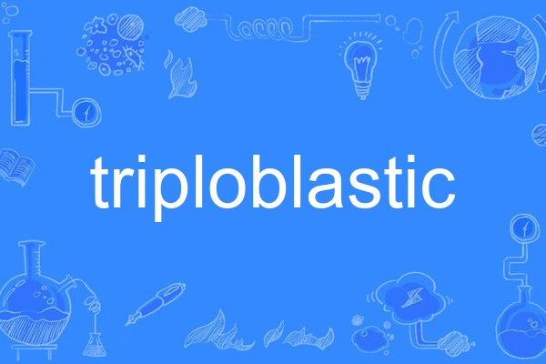 triploblastic triploblastic