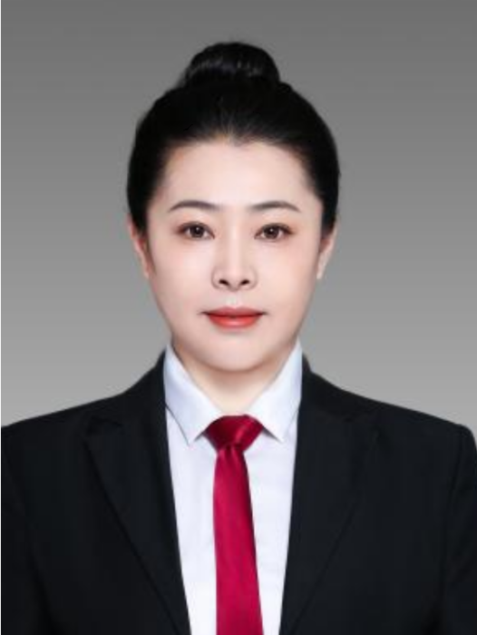 丁英(遼寧省鞍山市台安縣統計局局長)