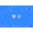審計專業