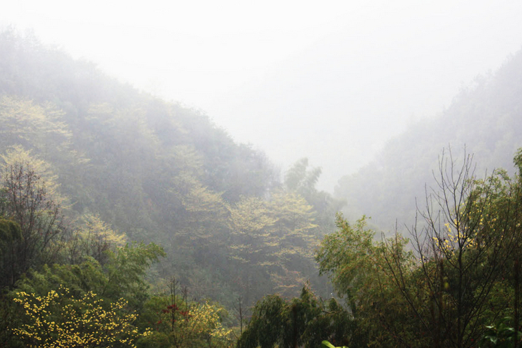 鳳鳴山風景區