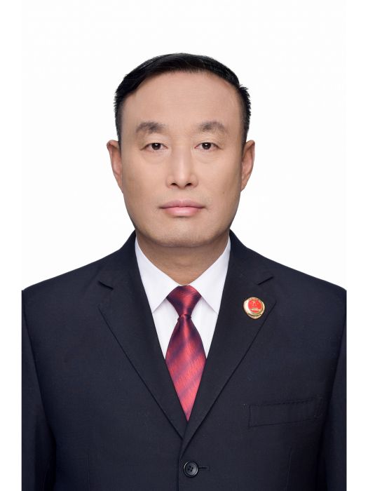 李彤(長春市人民檢察院檢察委員會專職委員) 李彤(長春市人民檢察院檢察委員會專職委員)