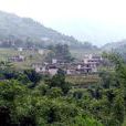 華峰村(雲南綏江縣中城鎮下轄村)