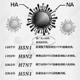 HxNx病毒家族 HxNx病毒家族