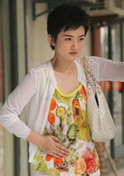 獨生子(2012年林申、朱傑主演電視劇)