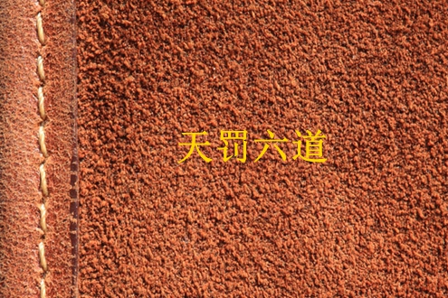 天罰六道 天罰六道