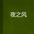 夜之風 夜之風