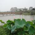 鴨蘭村(浙江省杭州市餘杭區崇賢鎮鴨蘭村) 鴨蘭村(浙江省杭州市餘杭區崇賢鎮鴨蘭村)