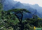 大平山自然保護區