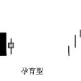 孕育型 孕育型