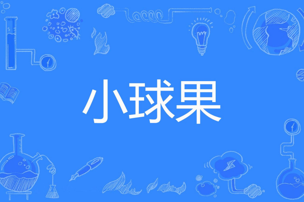 小球果 小球果