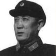 楊文安(解放軍空軍技術部副部長) 楊文安(解放軍空軍技術部副部長)