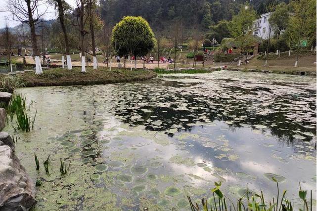 播雅濕地 播雅濕地