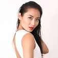 Li Jun Li Li Jun Li