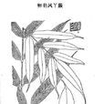 卵羽鳳丫蕨 卵羽鳳丫蕨