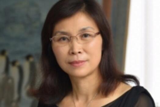 沈瑋(中國籍藝術家) 沈瑋(中國籍藝術家)