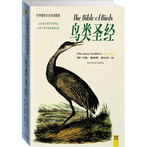 鳥類聖經 鳥類聖經