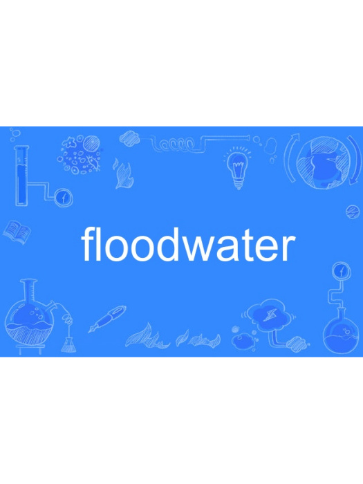 floodwater floodwater