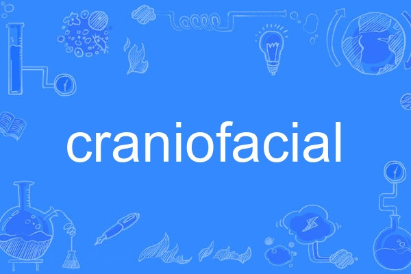 craniofacial craniofacial