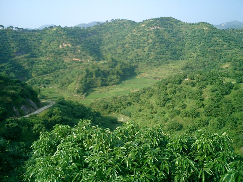 垌尾咀村 垌尾咀村