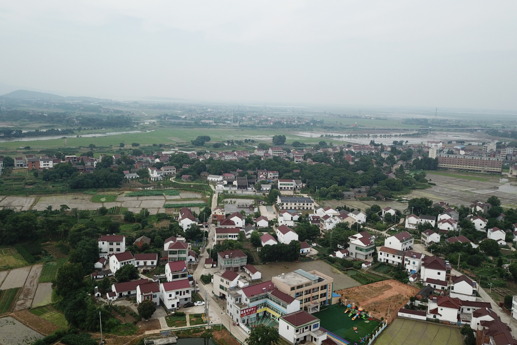 水圩村(安徽樅陽縣陳瑤湖鎮下轄村) 水圩村(安徽樅陽縣陳瑤湖鎮下轄村)