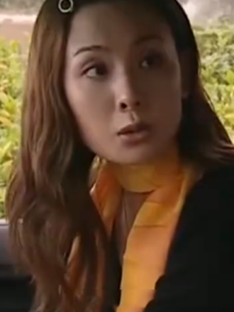 金蓓蓓(警匪劇《天不藏奸》中的女配角) 金蓓蓓(警匪劇《天不藏奸》中的女配角)