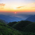 青山界 青山界