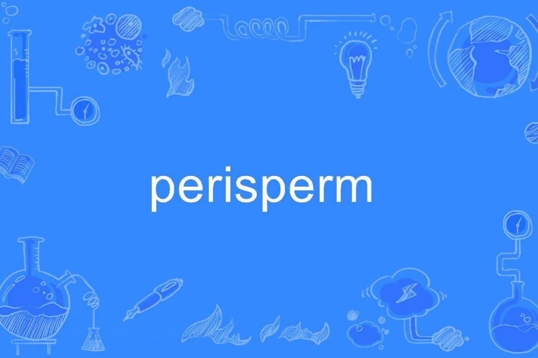 perisperm perisperm