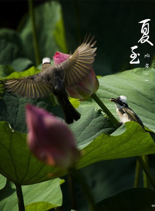 李康宜 李康宜
