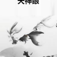 天神眼 天神眼